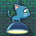Cats Jump Lights Cats Jump Lights