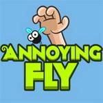 Annoying Fly Annoying Fly